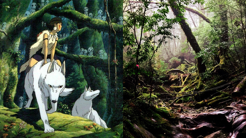 探索宫崎骏幽灵公主守护的森林