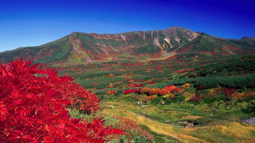 北海道 日本赏枫红叶景 下 笔记 Ap艺术星球