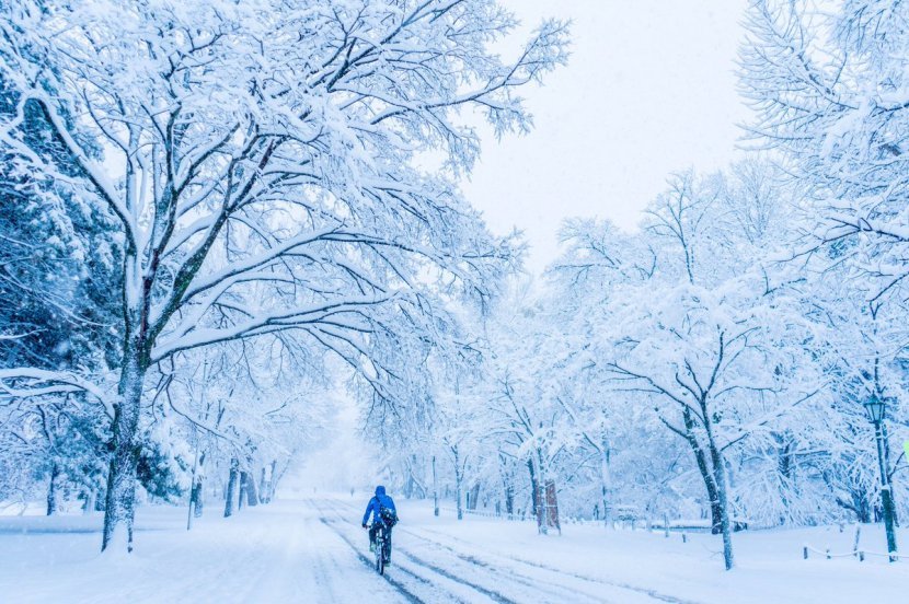 自学摄影4个月的日本大学生 拍摄出大受欢迎的北海道雪景 笔记 Ap艺术星球